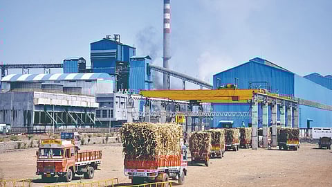 Kolhapur division sugarcane processing