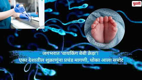 denmark sperm donation industry