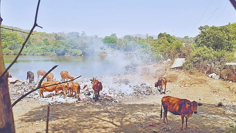 Khed River Pollution