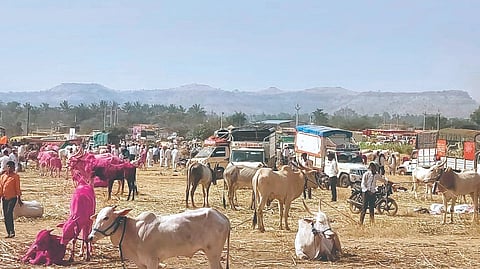 Kharsundi Paushi Yatra