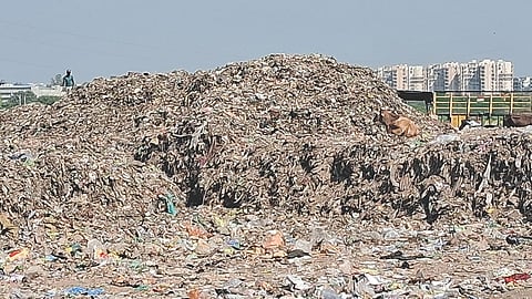 Alibag taluka dumping ground issue