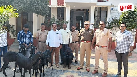 Pandharpur Goat Theft Case