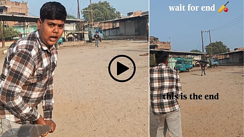 Cricket Viral Video