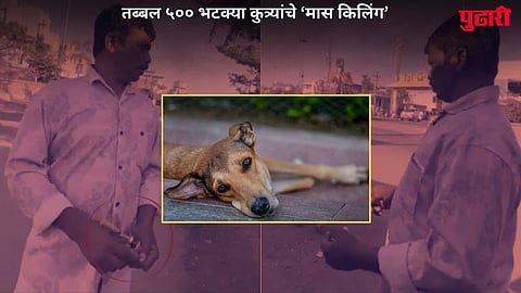 Mass Killing Of Stray Dogs