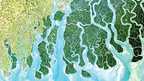 World’s Major River Basins Are Sinking Rapidly-ap84