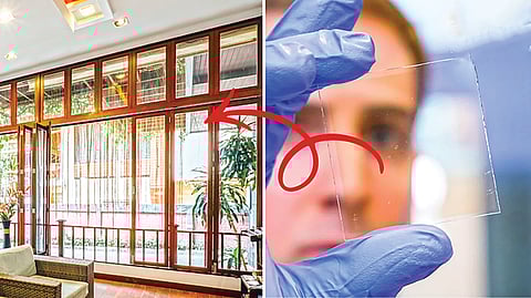 Transparent wood technology