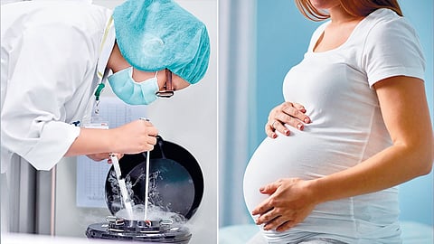 Egg Freezing Health