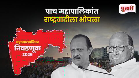 NCP Election Performance: पाच महापालिकांत राष्ट्रवादीला भोपळा
