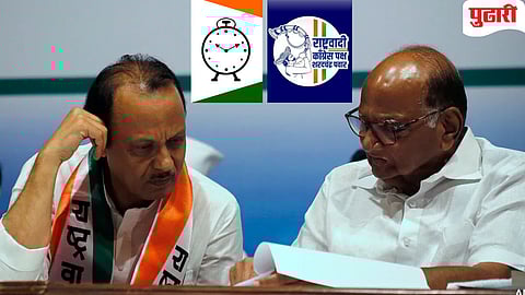 Maharashtra Politics : आगामी जि.प, पं. समिती निवडणुकीतही दोन्ही राष्ट्रवादी एकत्र लढणार