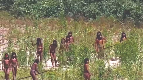 Amazon mysterious tribe