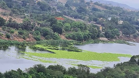 Ulhas river pollution issue