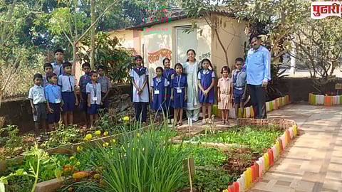 ZP School Kitchen Garden