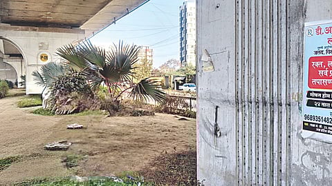 Highway beautification project