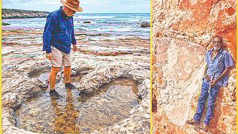 Giant Dinosaur Footprints |