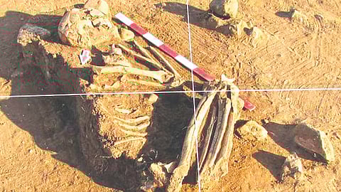 12000 year old human fitness