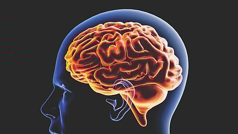 Brain disease research