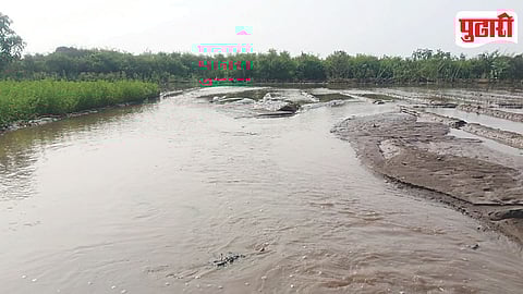 Kukadi Canal Damage