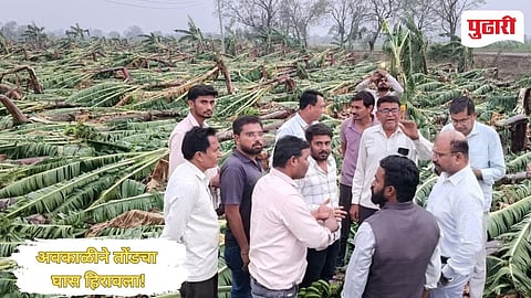 Dhule Unseasonal rain