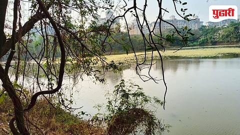 DPS Flamingo Lake Pollution