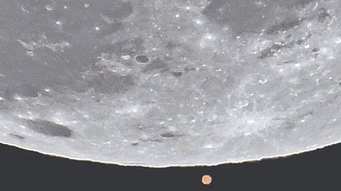 Snow Moon Regulus Occultation