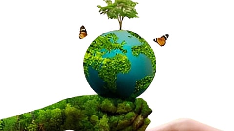 Nature and human responsibility