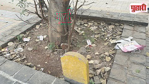 Linear Garden Misuse