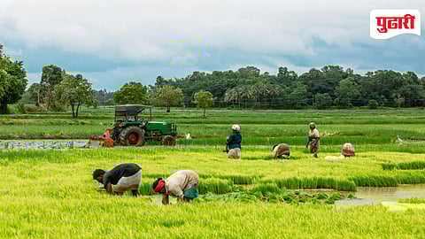 Agriculture Processing Industry