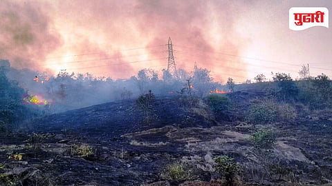 Forest fire Mahad