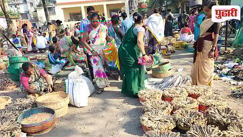 Vasai Dry Fish Market