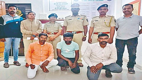 Illegal tree cutting