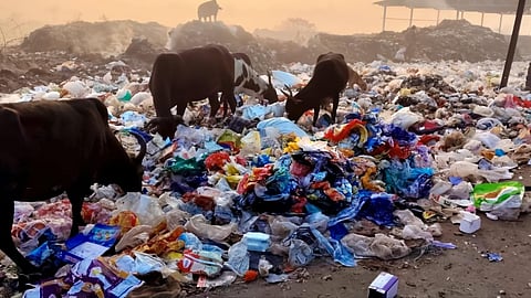 Dumping ground pollution