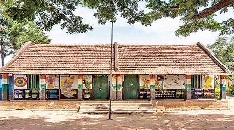 Government School Decline