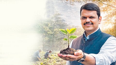 Tree plantation mission