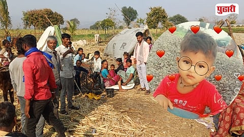 Sugarcane Worker child death by wild animal