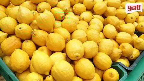 Lemon Price Hike Pune