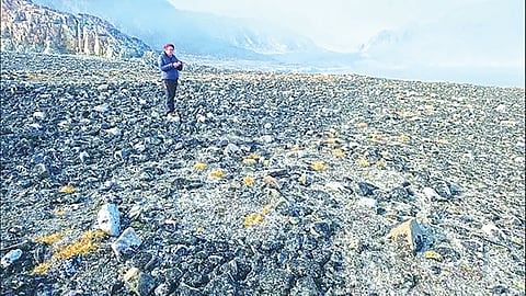 Ancient Arctic humans |