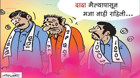 Tadaka Article Result...