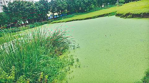 Child Death 20 feet deep pit