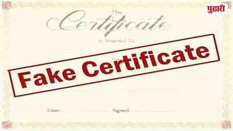 Fake Disability Certificate | बनावट दिव्यांग प्रमाणपत्र प्रकरणी महिला ग्रंथपालावर गुन्हा दाखल करण्याचे आदेश