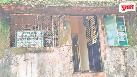 Palghar Social Forestry