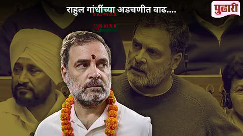 Rahul Gandhi Parliament