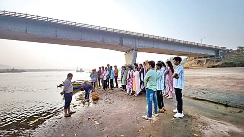 Seaweed Fertilizer Production