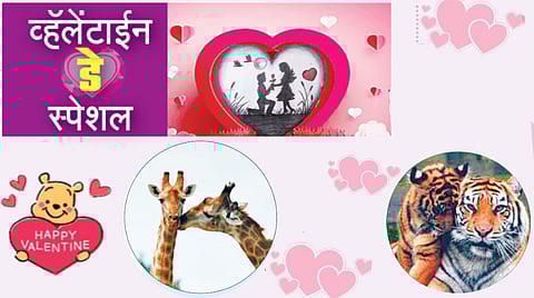 Valentine's Day Special