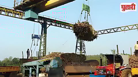 Sugar Mill Digital Weighbridge