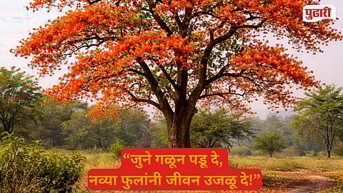 Palash flowers blooming