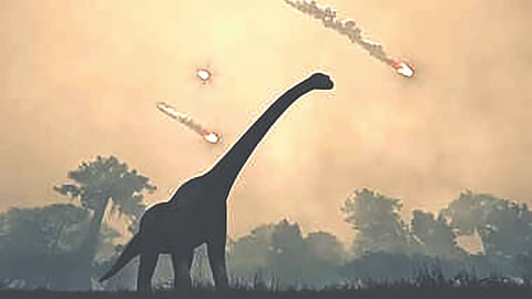 Evolution after Dinosaur Extinction