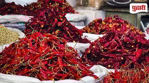 Karjat Mirchi Market