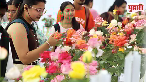 Pune Flower Exhibition
