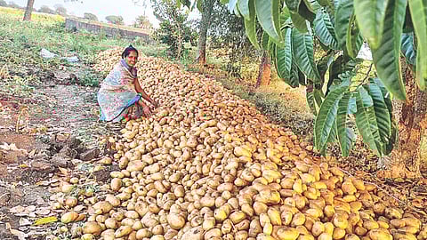 Dharur farmer innovation