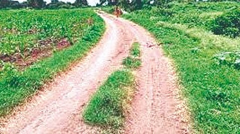 Panand road land record update